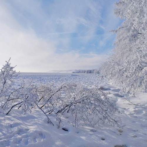Куршская коса: природа и история