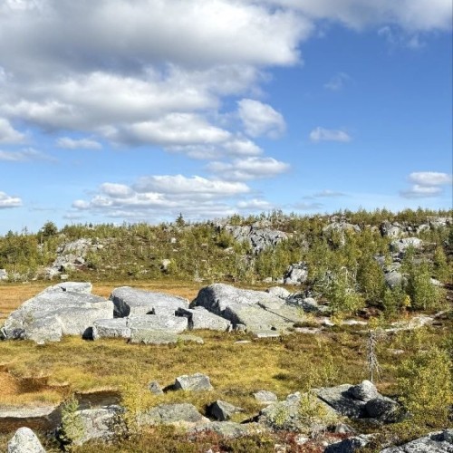 Поход-перезагрузка среди дикой природы Карелии в мини-группе (из Санкт-Петербурга)