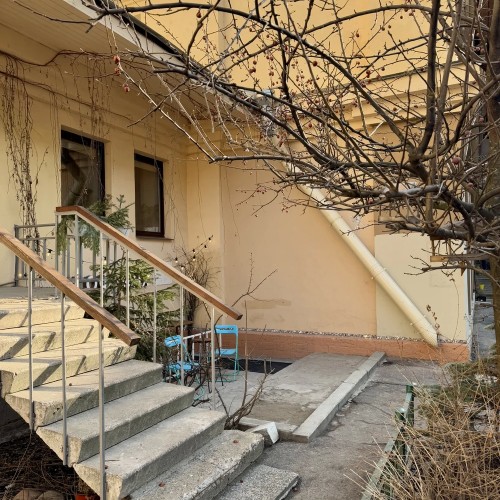 Петербург для жаворонков, или Утренняя прогулка по Петроградской стороне