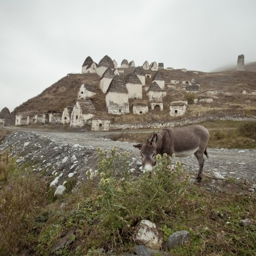 По горным тропам и улицам Владикавказа с комфортом: 3 дня в Северной Осетии