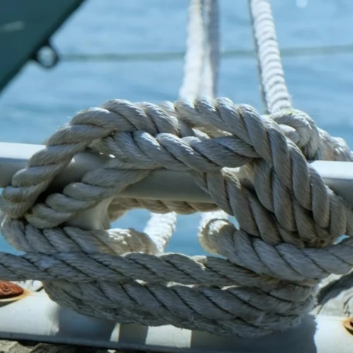 Адлер: морская рыбалка, обед из улова и купание в Чёрном море