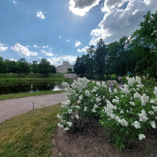 Прогулка по Гатчине: изумительные парки и Старый город