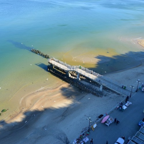 Море, котики, курорты: главное в Калининградской области