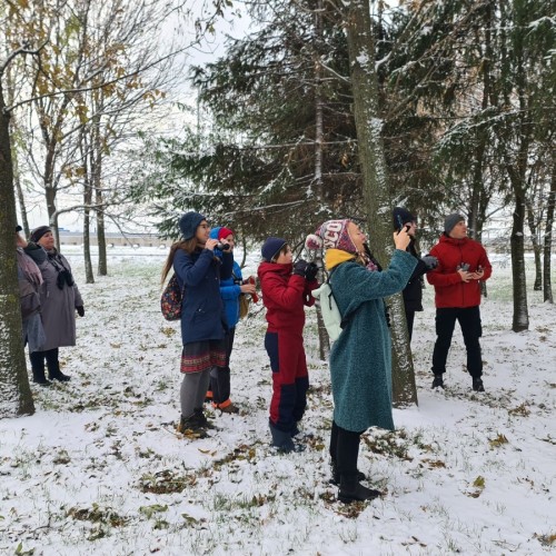 Птицы зимнего Петербурга