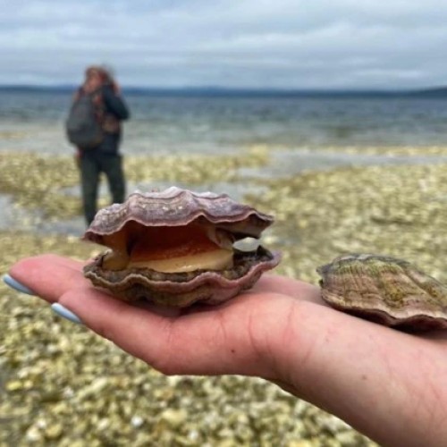 Большое путешествие по островам: Сахалин и Итуруп, Кунашир и Шикотан