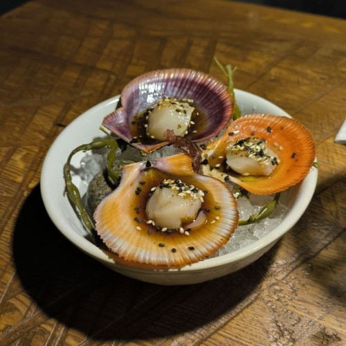 Арктический экспресс на внедорожнике: Мурманск, Кола и Териберка только для вашей компании