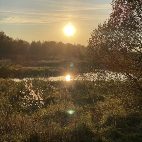 Первый раз с веслом в руках: лёгкий сплав по реке Воре (всё включено)
