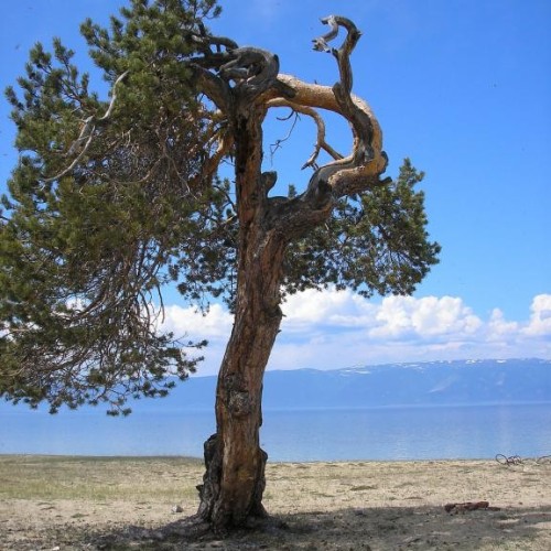 Сокровища Восточной Сибири: Иркутск, Аршан, Тункинская долина и Ольхон