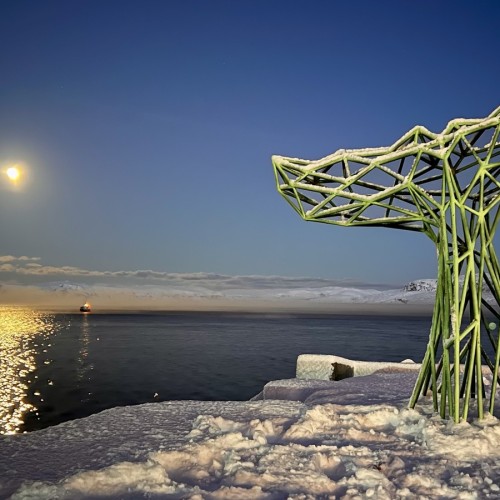 Индивидуальный джип-выезд по Кольскому с поисками китов, знакомством с саамами и катанием на оленях