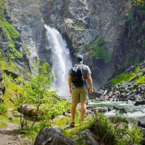 За пейзажами весеннего Алтая: цветение маральника