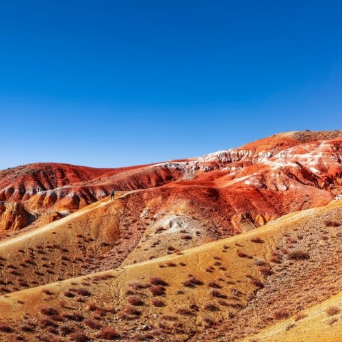 По цветущему Алтаю с выездом из Новосибирска и Горно-Алтайска: топовые места