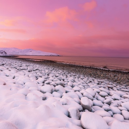 Новогодний отпуск в Териберке с праздничным ужином, арктическими блюдами и морскими деликатесами