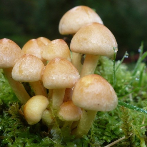 Маршрут №30: поход через горы к морю