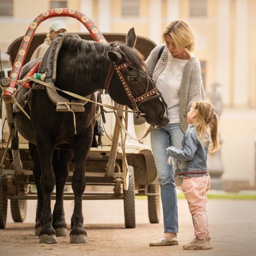 Конная прогулка по Павловскому парку с экскурсией!