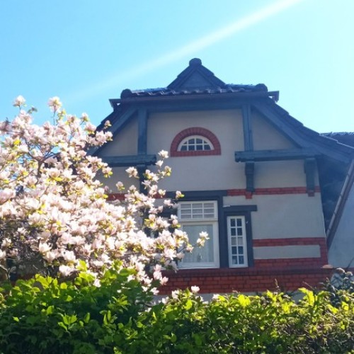 Встречай, янтарный край: индивидуальное путешествие по городам Калининградской области