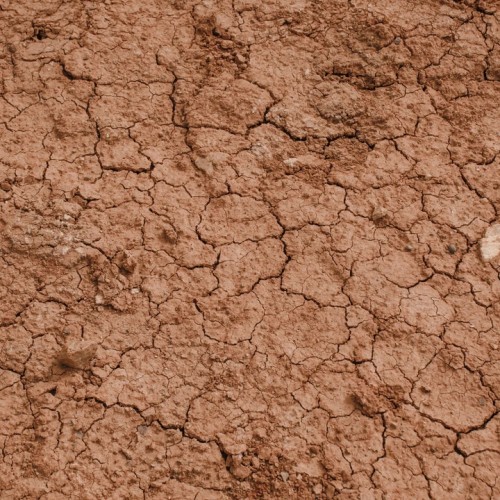 Неделя на Алтае: Телецкое озеро, Катунь и Чуйский тракт в мини-группе