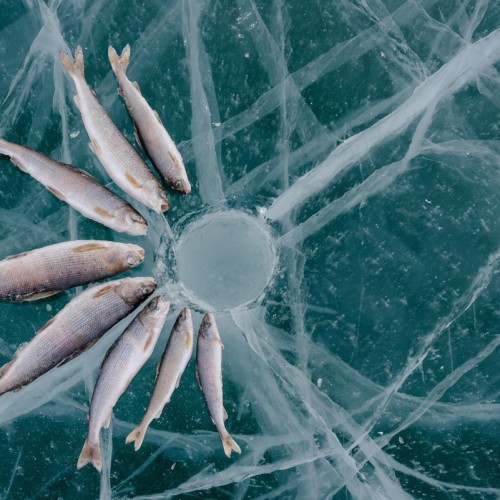 Активный тур на зимний Байкал: катание на снегоходе, хивусе и коньках и подлёдная рыбалка