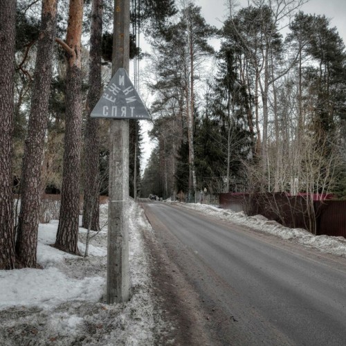 Комарово: аудиопрогулка по Лесной стороне