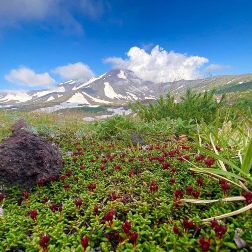 Экспедиция по Камчатке с восхождениями на вулканы, морской прогулкой и рыбалкой