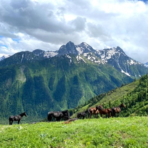Больше треккинга и озёр в Архызе: без рюкзаков и с проживанием в гостинице