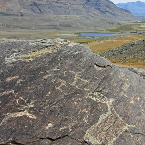 К ледникам и озёрам: треккинг-тур по Алтаю в мини-группе