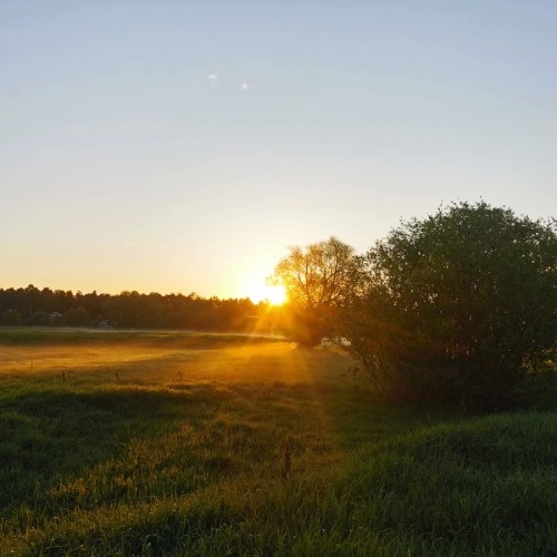 Лёгкий сплав на байдарках по Клязьме с палатками и баней: всё включено