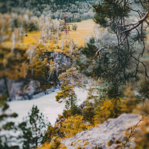 Отдыхаем на Алтае: природа и сакральные места