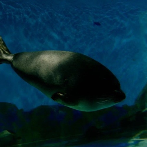 1000 и 1 впечатление на Байкале (всё включено): этнопогружение, кухня, треккинг и необычные локации