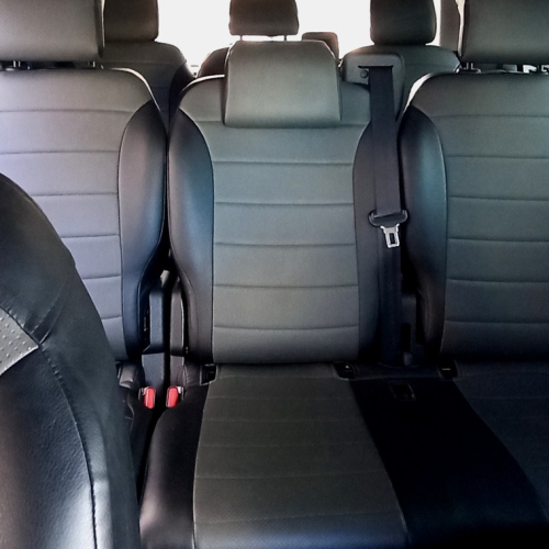 Трансфер из Пулково и экскурсия по must-see-местам Петербурга