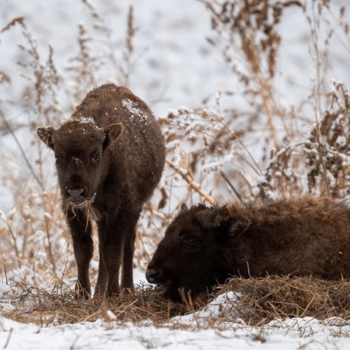 Топовые и необычные места Алтая в мини-группе: Чуйский тракт, озеро Джангыскёль и лёгкий треккинг