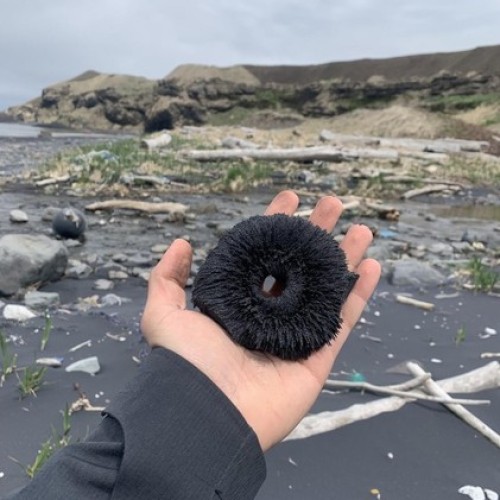 На острова посреди океана: Кунашир и Шикотан