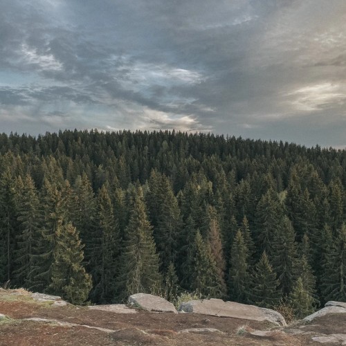 Фотопрогулка в Сортавале