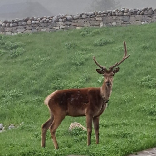 3 дня в Чечне: индивидуальное путешествие с экскурсиями на выбор
