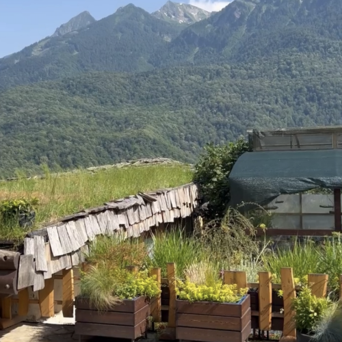 Трансформация в горах Сочи: практики с психологом, пикник, наблюдение за звёздами и фотосессия