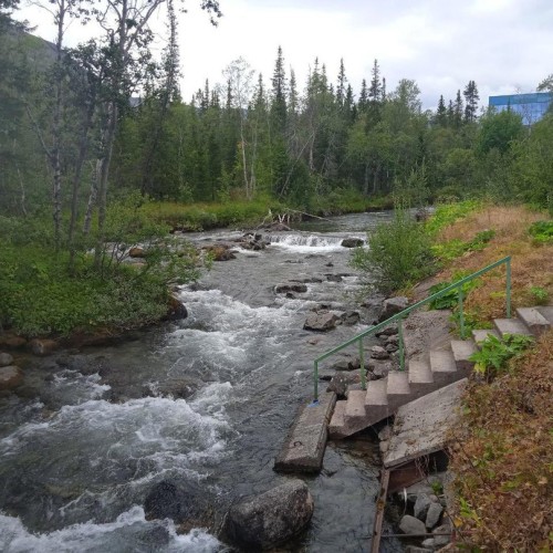 Зов Севера: Мурманск, Териберка, саамская деревня и прогулка по Баренцеву морю