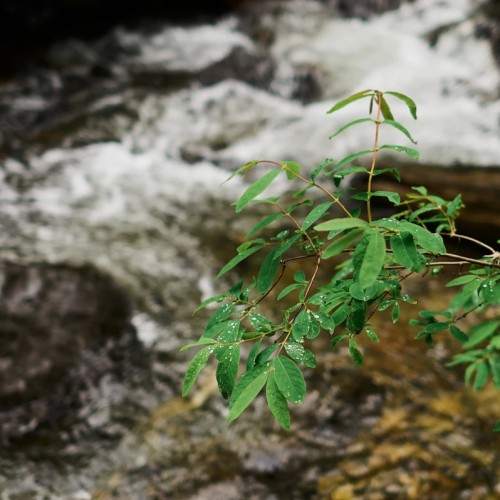 Телецкое озеро: 5 водопадов + смотровая Тилан-Туу (из Горно-Алтайска)
