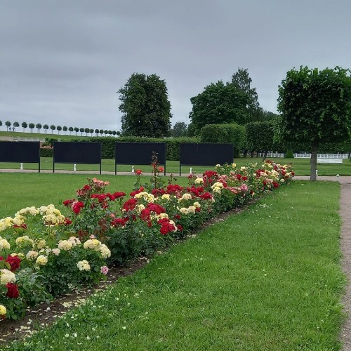 Два знаменитых парка Петергофа за 1 день