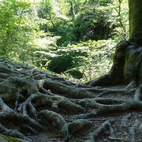 Женское счастье: отдых, правильное питание и проживание с видом на горы