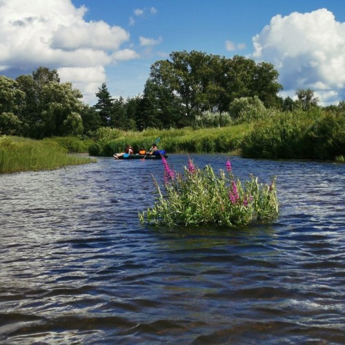 Очарование Медведицы: лёгкий сплав на байдарках (всё включено)