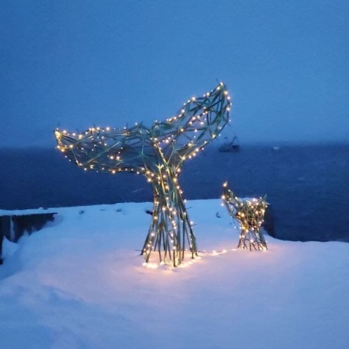 Насыщенные выходные на Кольском: Териберка, Мурманск, культура саамов, морская прогулка и сияние