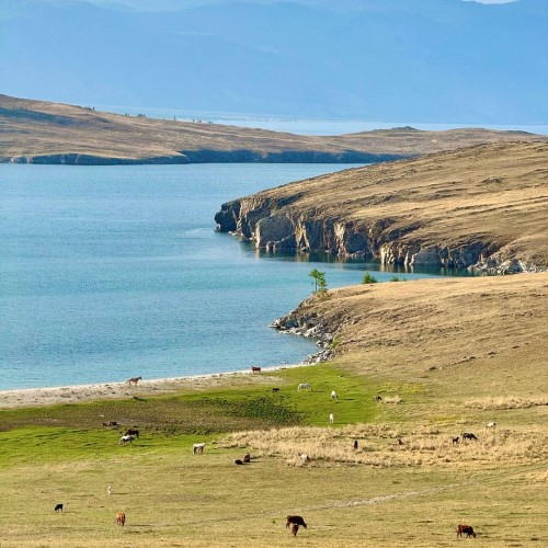 По всему Ольхону на джипе только в вашей компании