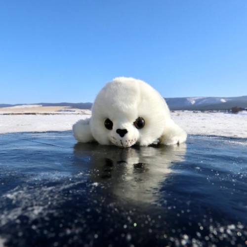 По Ольхону на внедорожниках: индивидуальное путешествие в зимнюю сказку Байкала