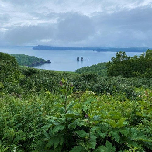 Камчатские приключения: треккинги, сплав, морские прогулки