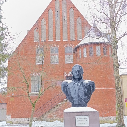 Прусские воительницы и великие полководцы 19 века