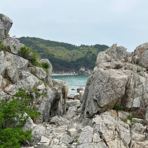 Гастрономическое путешествие в русский Сан-Франциско