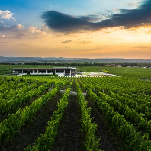 Французский шик в Краснодарском крае: по роскошным винодельням с дегустациями (индивидуально)