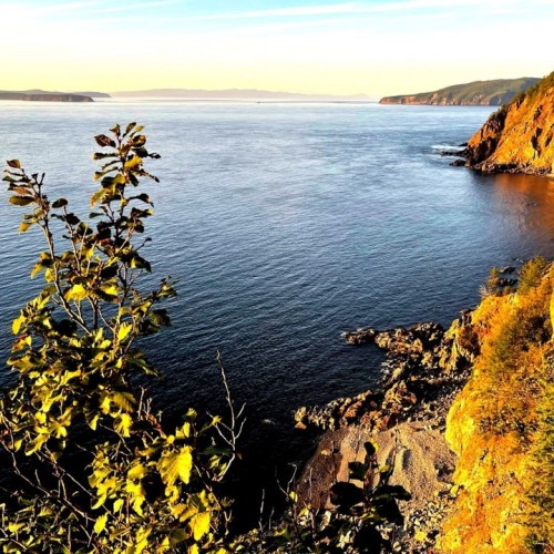 Навстречу гренландским китам: экспедиция к Шантарским островам с лекциями биологов