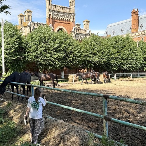 В Рязань из Москвы по Коломенскому тракту: древние замки, Солотча и «Рыбацкая деревня»