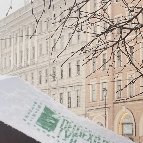 От Сенной до Коломны: тени Петербурга и ароматы прошлого