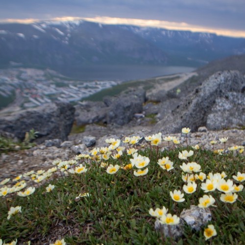 Горы и водопады Севера: тур на Кольский полуостров в мини-группе
